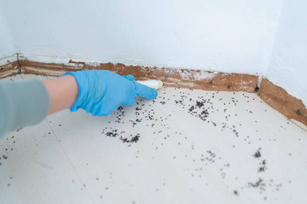 Best Residential Pest Control  in Milan, IN